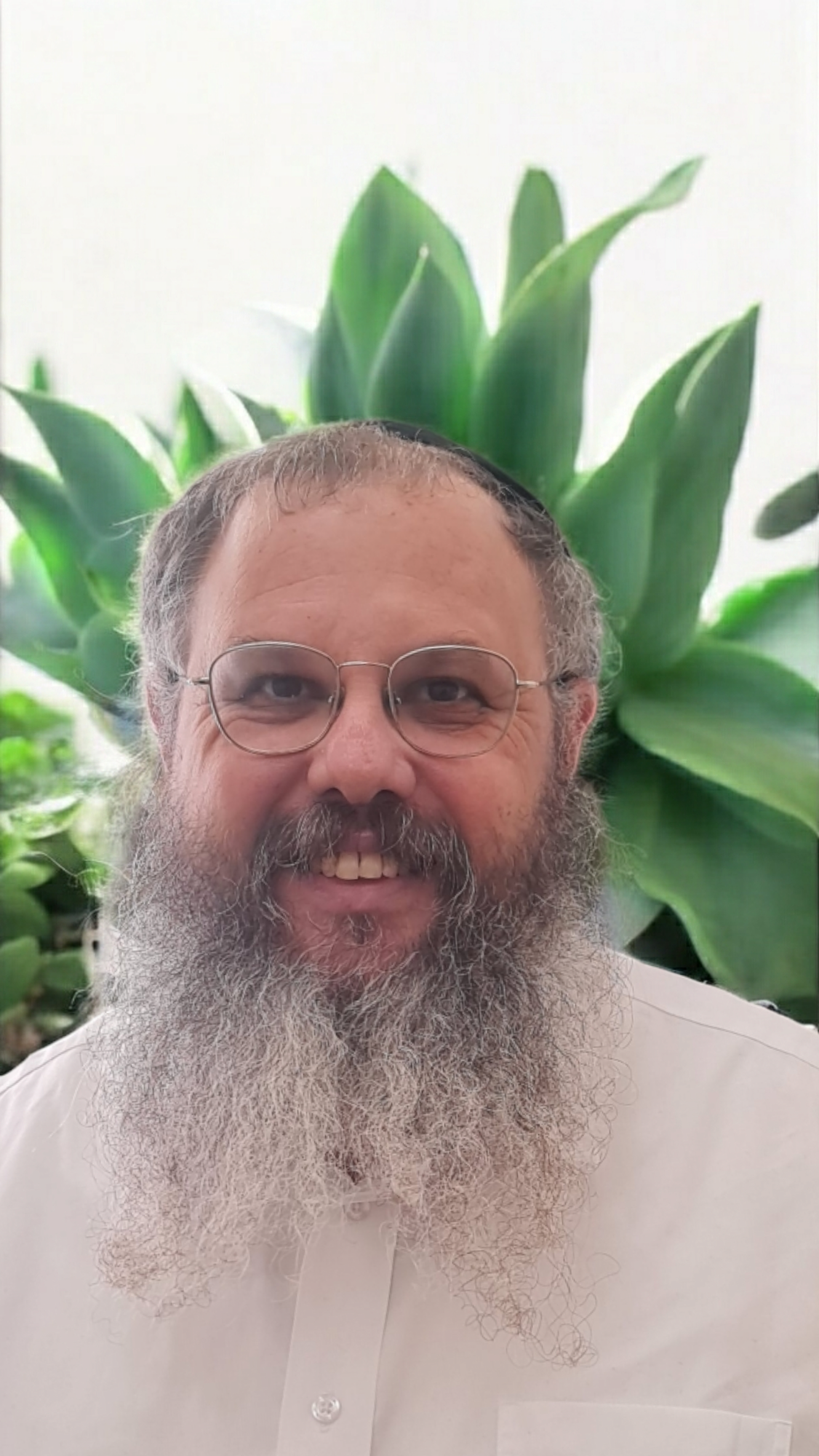 יהושע הס